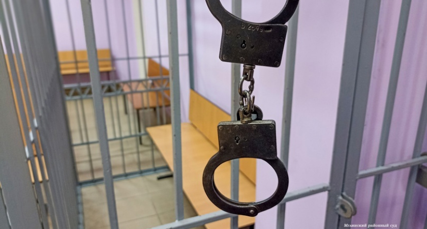 Житель Брянска, избивший до смерти свою бабушку, получил девять лет строгого режима