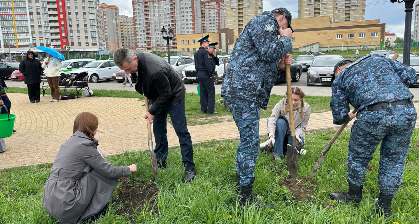 В центральном районе Брянска этой весной высадили более тысячи деревьев и кустарников