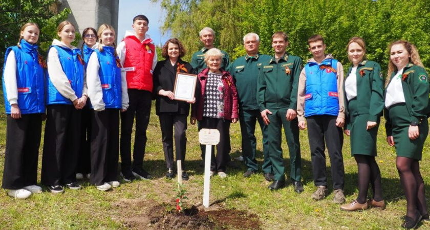 В Брянске высадили свой «Тополь Победы»