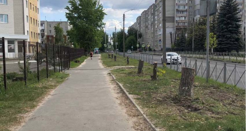 Вместо деревьев — «ливнёвку»: в Брянске продолжается капремонт улицы Менжинского
