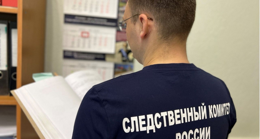 В Брянске продолжается проверка по нападению собаки кане-корсо на 4-летнюю девочку