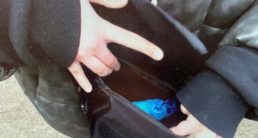 Брянский суд «выписал» смоленской наркозакладчице 7,5 лет общего режима