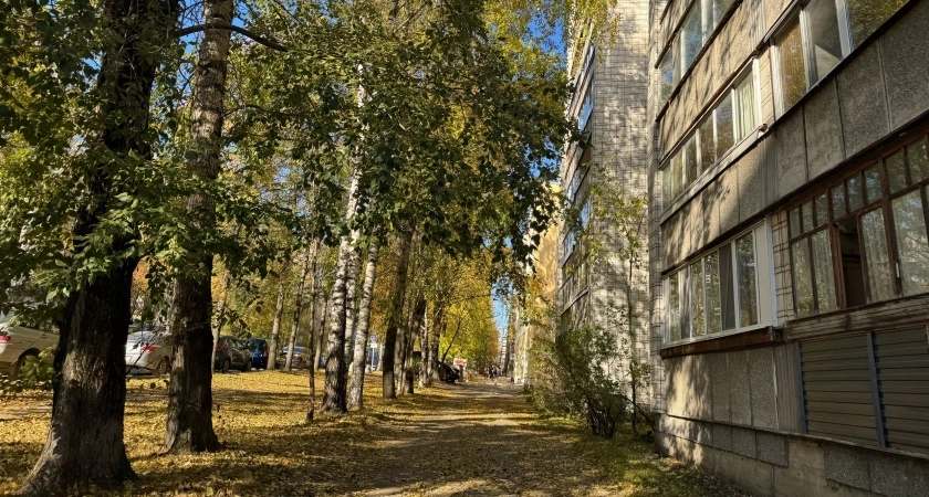 «Июнь, июль и август будут аномальными». Синоптики дали новый прогноз на лето