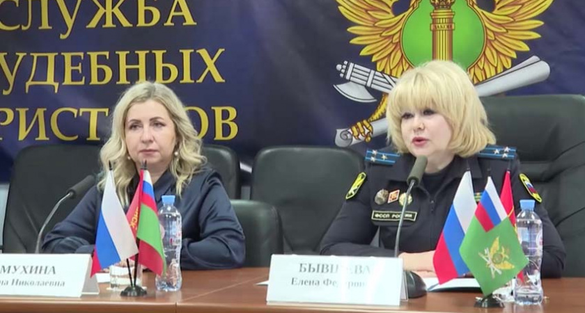 В Реестре алиментщиков уже «отметились» более двух тысяч брянских жителей