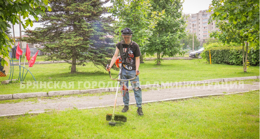 В Брянске за выходные скосили больше 15 «футбольных полей»