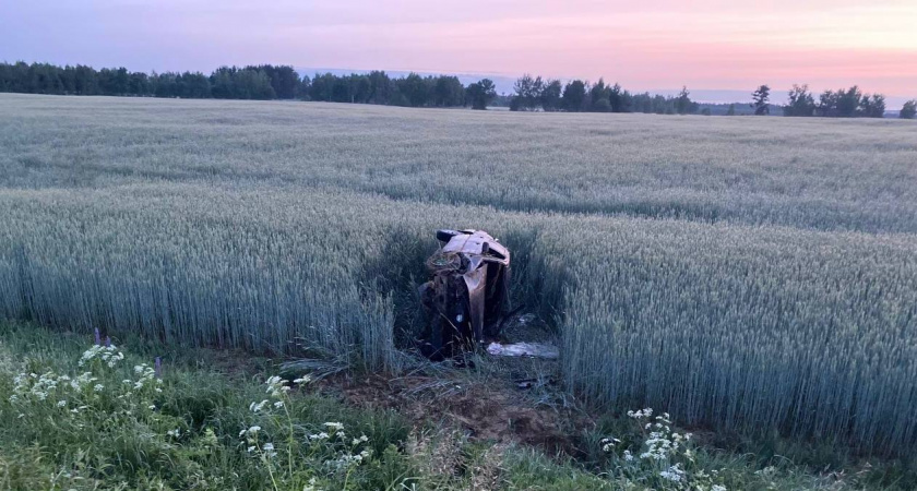 На брянской трассе под Дубровкой «пьяная» иномарка улетела в кювет, пострадали трое пассажиров