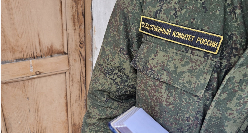 В Брянской области 16-летняя воровка обнесла дом, пока хозяева молились в церкви