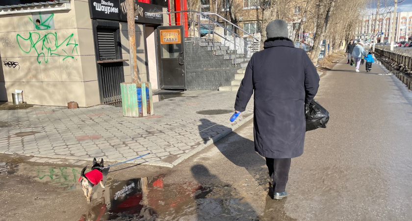 С 1 июля будет абсолютно бесплатно для всех пенсионеров: вводится новая долгожданная льгота