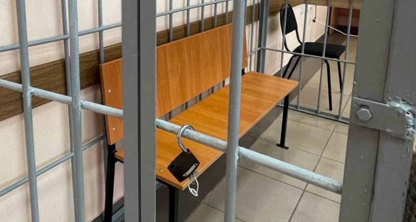 В Брянске задержан 16-летний школьник с тротиловыми шашками «для Октябрьского моста»