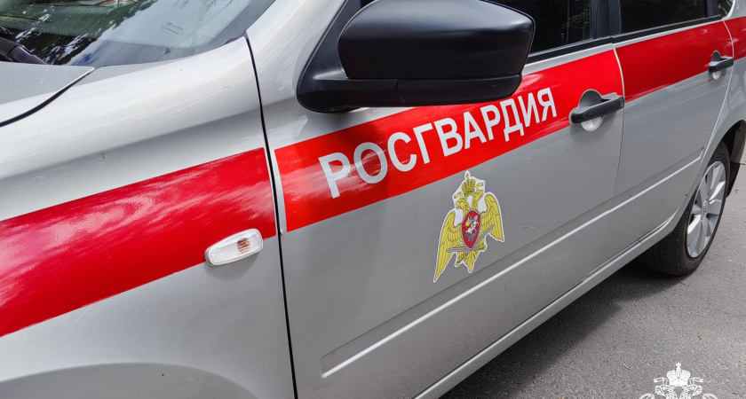 В Брянске росгвардейцы задержали грабителя-рецидивиста 