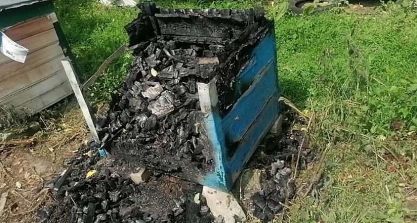 Брянская жительница из-за боязни пчел сожгла пасеку соседа