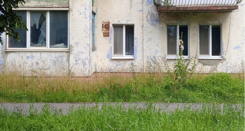 Власти Брянска попеняли управляющим компаниям за заросшие дворы