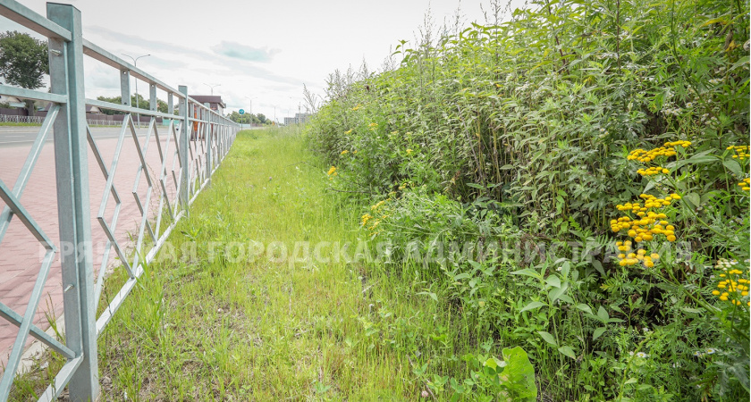 Власти Брянска задались целью «подстричь» старый аэропорт