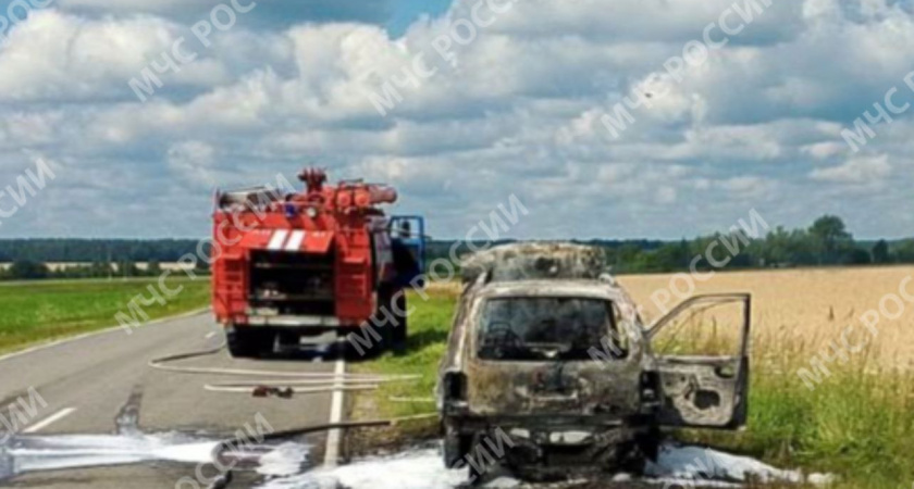 В Брянской области пожарные ликвидировали возгорание автомобиля