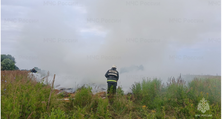 В Брянской области ликвидировали пожар на маковых полях