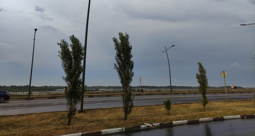 Брянскую область ожидают грозы и туманы в последнюю неделю августа