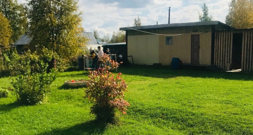 Топ-7 дачных лайфхаков, которые вы можете спокойно повторить