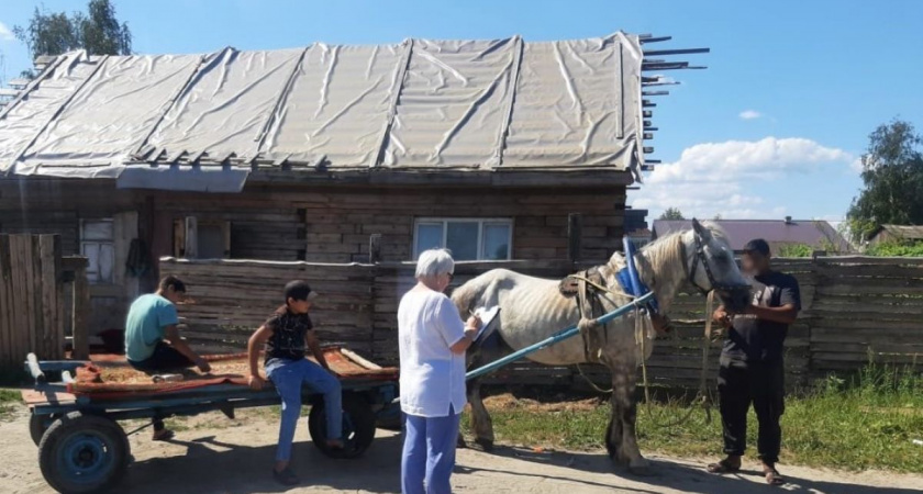 Профилактический рейд в Бежицком районе: полиция проверила зоны компактного проживания в Брянске