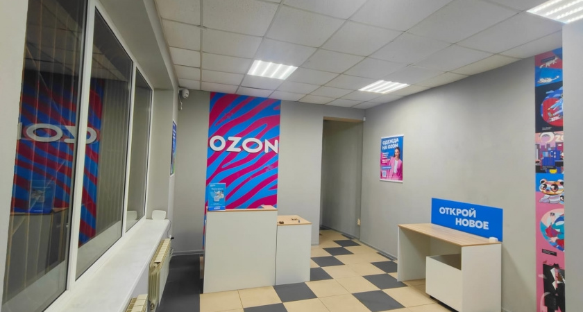 OZON или Wildberries — что лучше и по каким причинам?