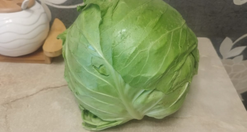 В СССР не знали, что такое тромбы и густая кровь, потому что ели 3 продукта, принося большую пользу организму, сами того не осознавая