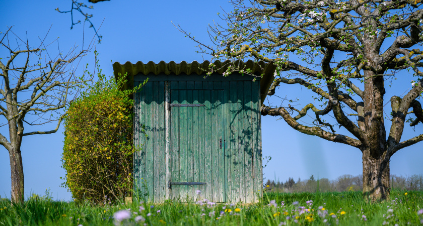 Что добавлять в дачный туалет, чтобы отходы растворялись и запаха не было: полезный лайфхак