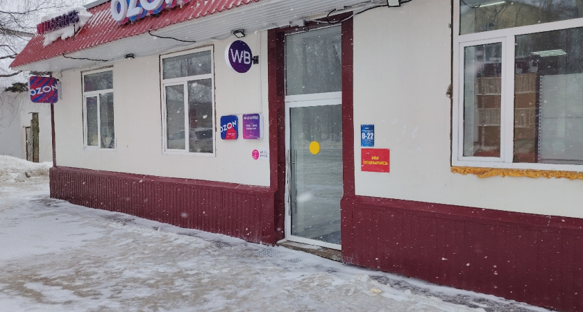 11 оригинальных вещей с Wildberries: преображаем дом и добавляем радости