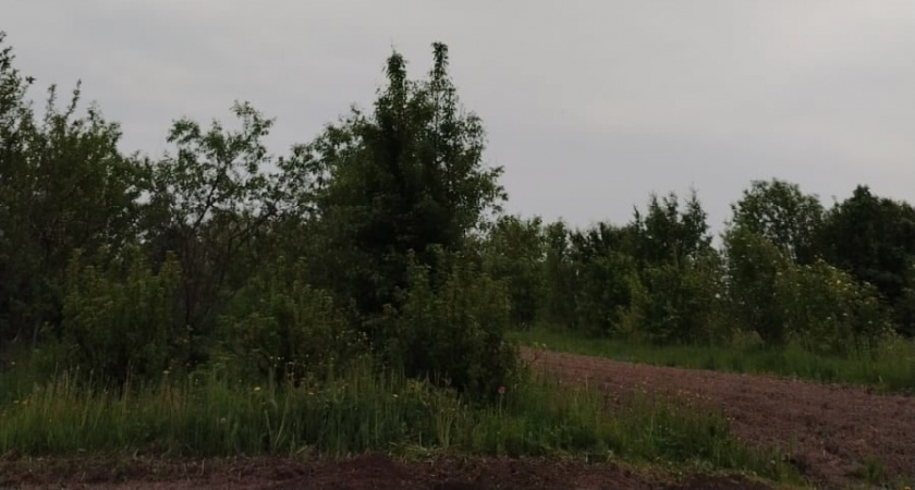 Морозы наступят резко и без стука: Вильфанд назвал точную дату похолодания