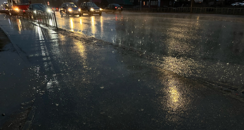 Жителей Брянской области ждут туман и дожди 2 ноября