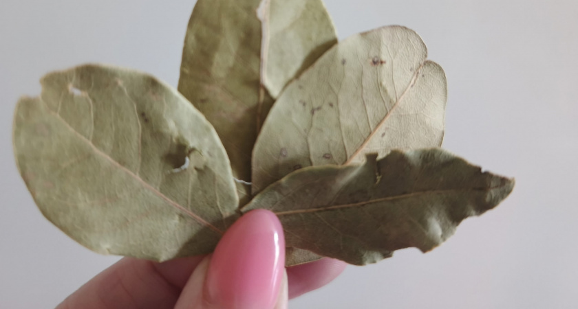 Лавровый лист засыпаю солью — весь ноябрь не нарадуюсь своей хитрости: полезный лайфхак для всех домохозяек