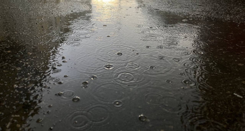 4 ноября жителей Брянской области ждут дожди