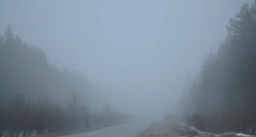 В Брянской области объявили желтый уровень погодной опасности