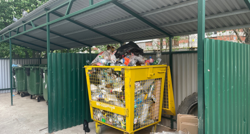 В Брянской области город столкнулся с мусорным кризисом 