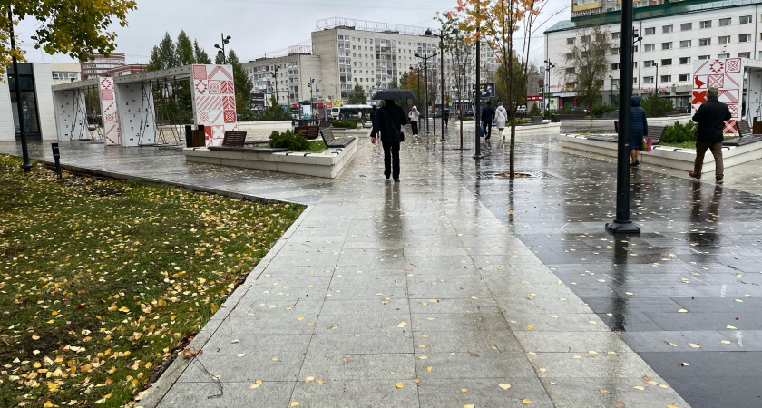 Брянскую область ожидает теплый и дождливый ноябрьский день