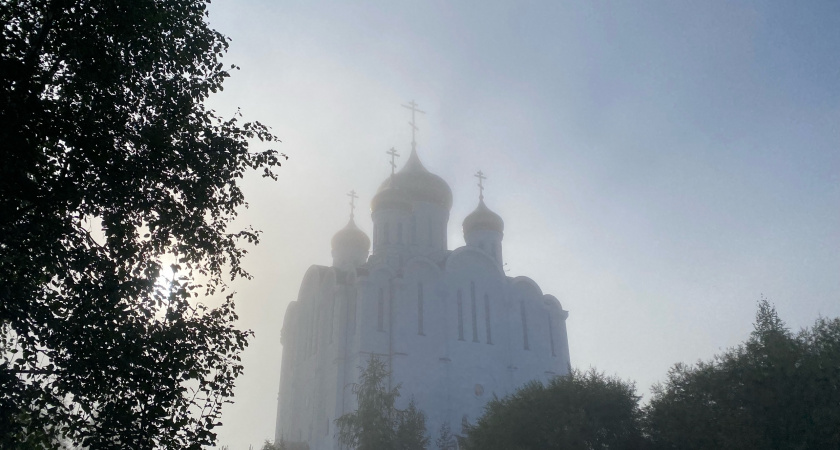 Брянскую область ожидают дожди и туман в среду 12 ноября