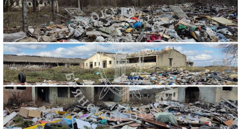 В Брянской области начался процесс очистки территории заброшенной фермы от несанкционированной свалки