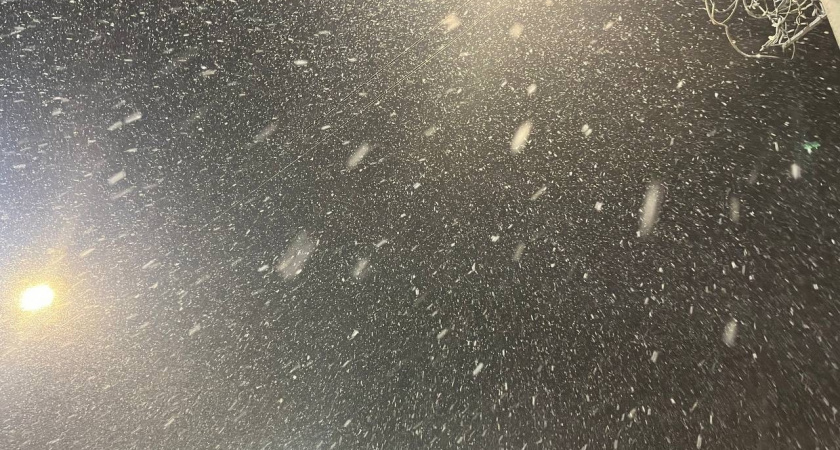 15 ноября в Брянской области ожидается усиленный ветер и мокрый снег