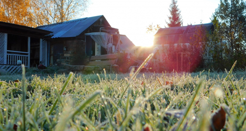 Мороз до -6°С ожидается в Брянской области в ночь на 18 ноября