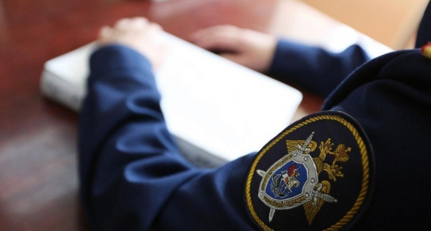 В Брянской области осудили мужчину за нападение на пенсионерок