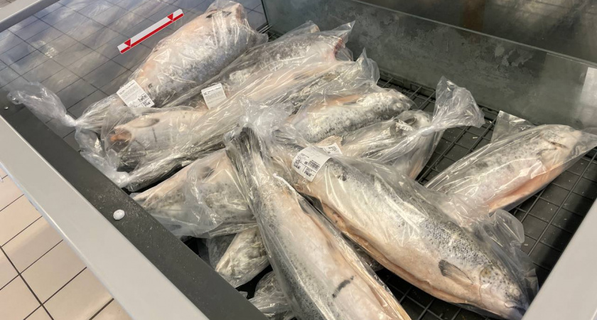 Купил форель из "Светофора" для засолки икры: пришел домой, и вот что нашел - честный отзыв