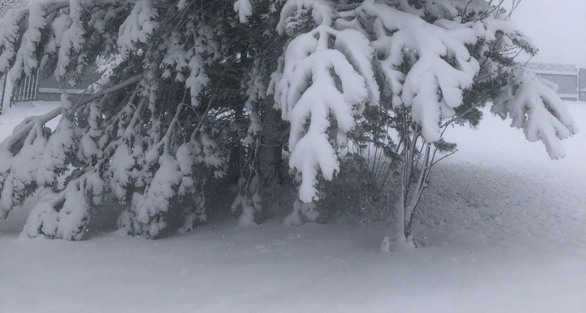 Самая холодная зима за 250 лет: синоптики сообщили об аномальных морозах до –40 и снежных бурях