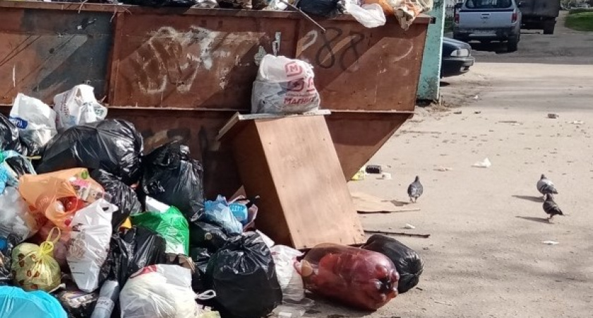 В Брянской области навели порядок с отходами после прокурорской проверки