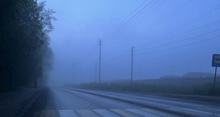 Брянщина под покровом тумана: объявлен желтый уровень погодной опасности