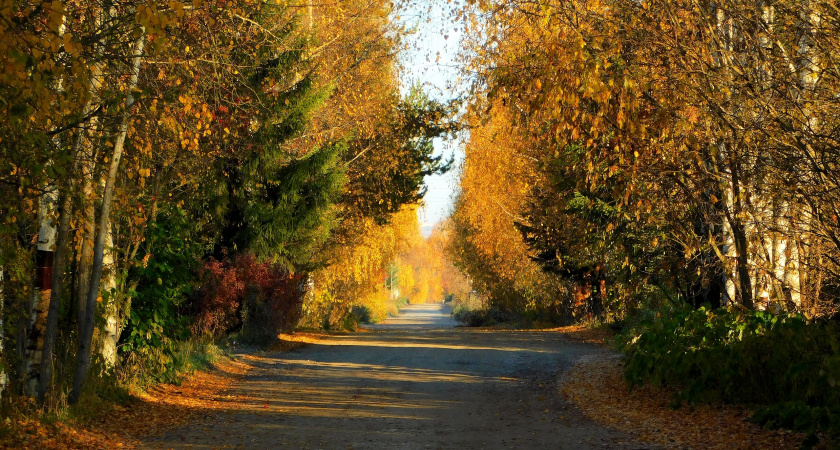 Теплый вторник в Брянской области начался с мокрого снега и гололедицы