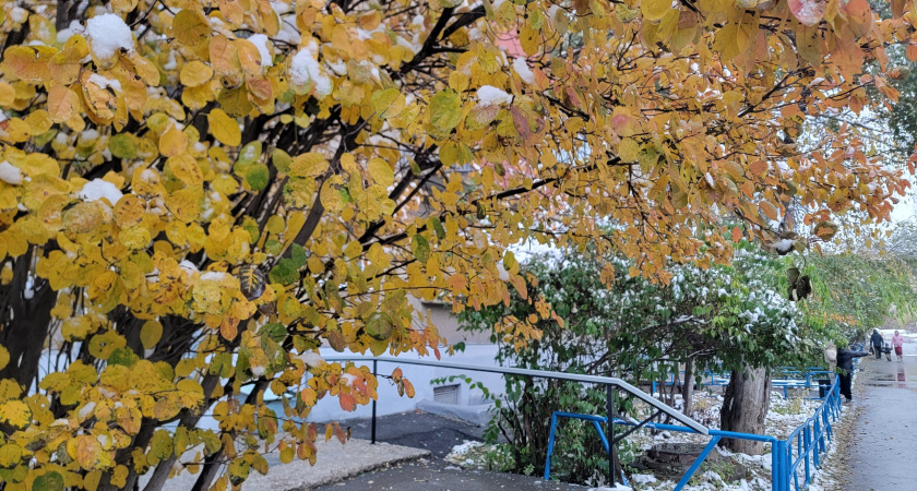 В Брянской области 3 декабря ожидается туман и мокрый снег