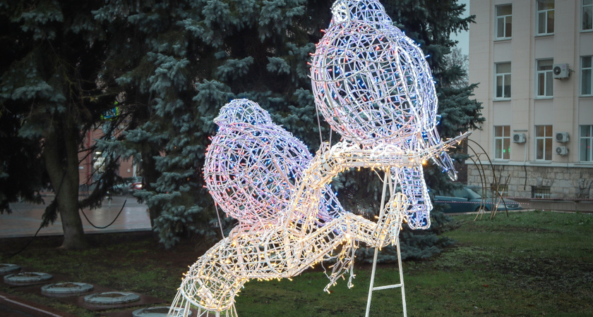 Брянск украшают к Новому году: главную ель подарят городу жители поселка Большое Полпино