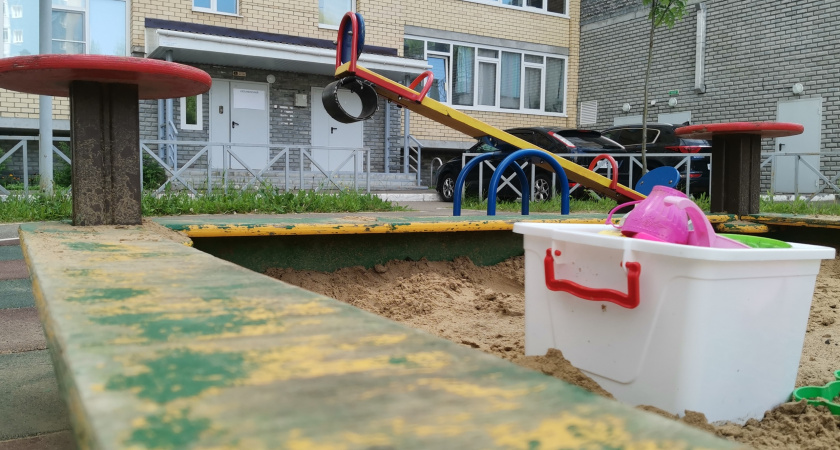 На детской площадке в Брянске лошадь напала на девочку