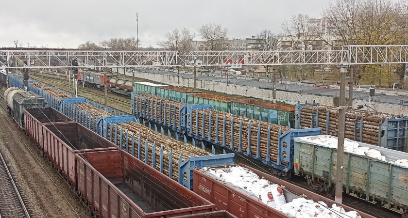 Погрузка химикатов и соды на железной дороге в Брянской области выросла в 1,6 раза за 11 месяцев 2025 года