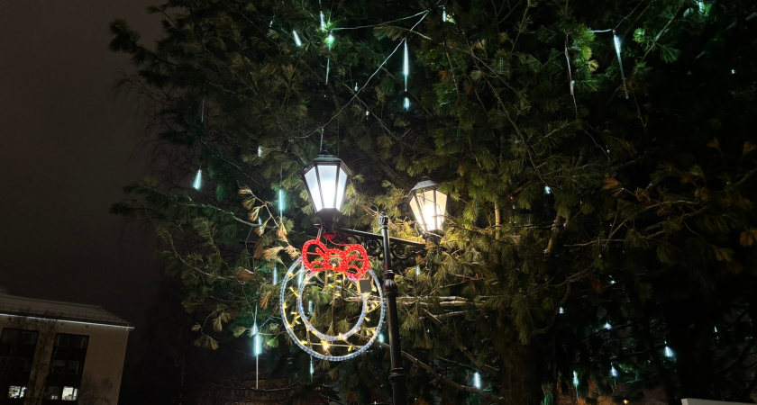 В Брянской области стартует новогодняя благотворительная акция “Добро без границ”