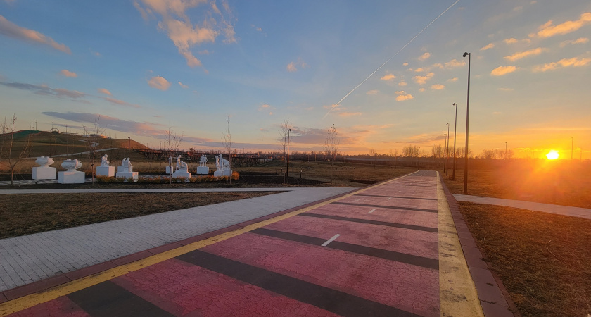 Погода в Брянской области 11 декабря: дожди, туман и аномальное тепло до +6°C