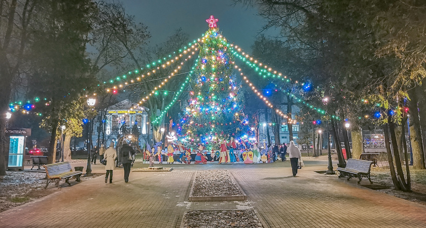 Брянская главная ёлка прибыла из частного двора в центр города